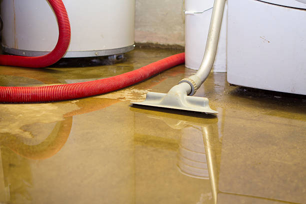 Best Water damage restoration near me  in Coeburn, VA