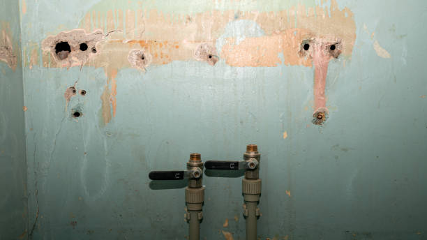 Best Water damage restoration cost  in Coeburn, VA