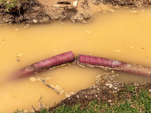 Best Carpet water damage restoration  in Coeburn, VA